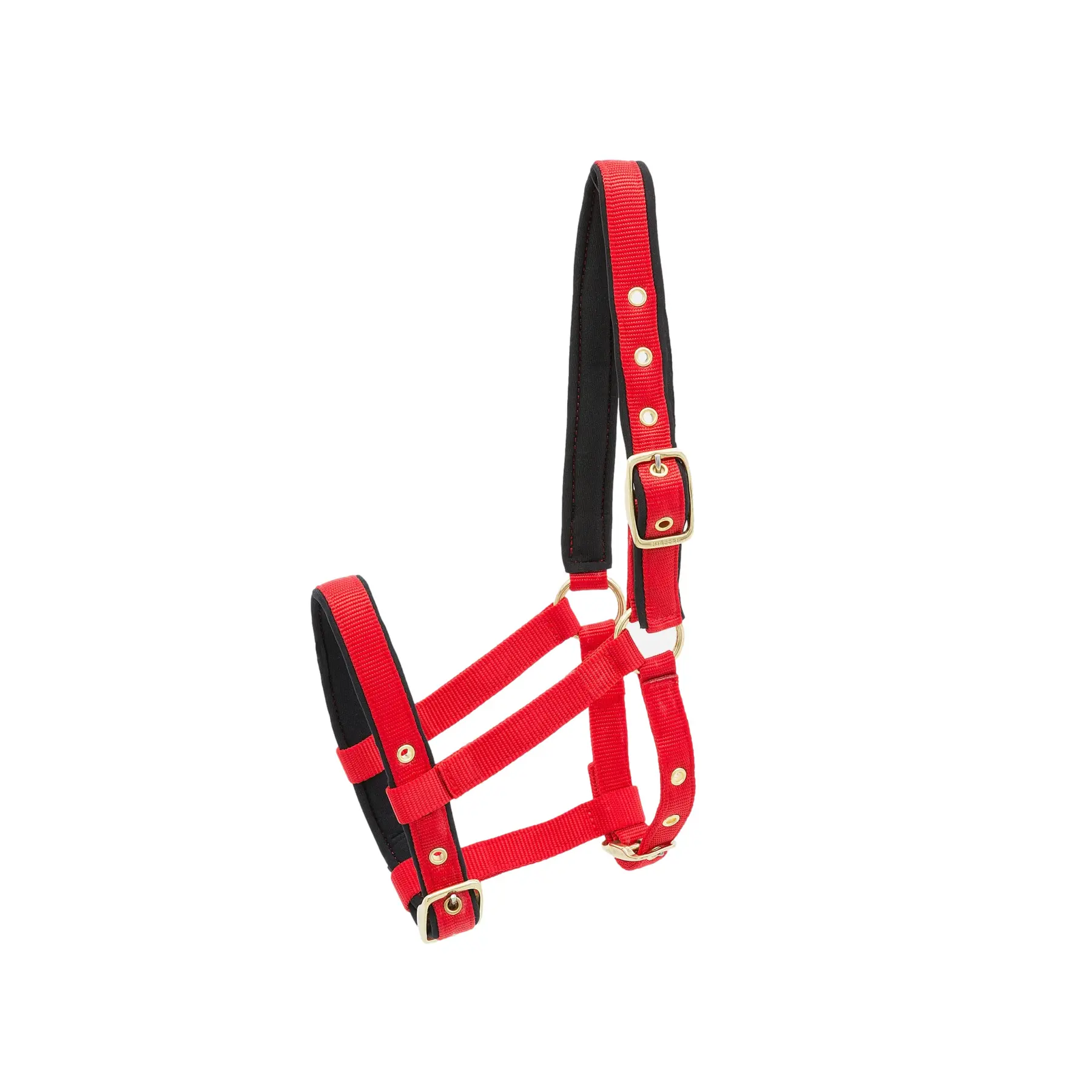 Comparer les prix de Licol pour cheval nylon Kieffer