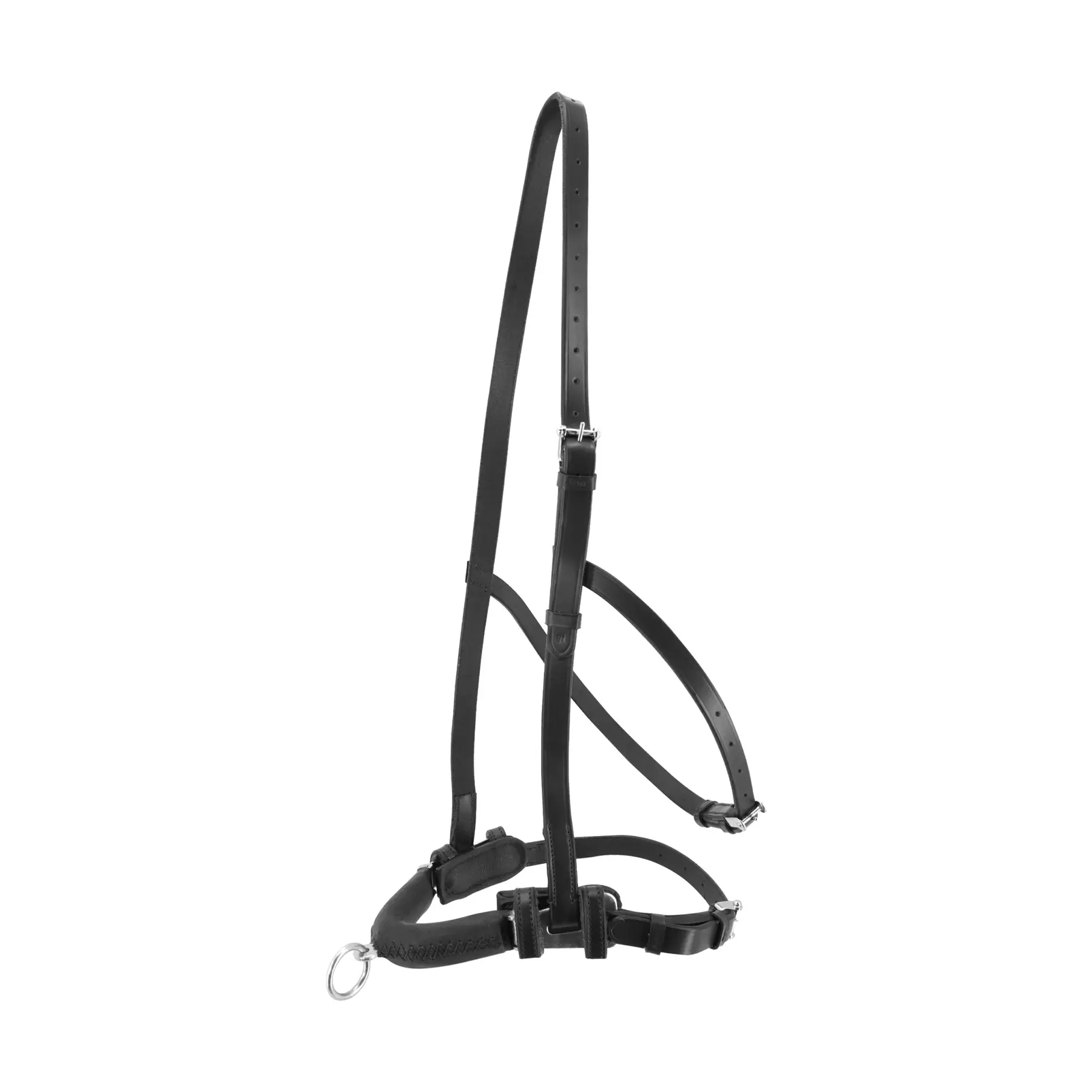 Comparer les prix de Caveçon pour cheval Kieffer Anja Beran