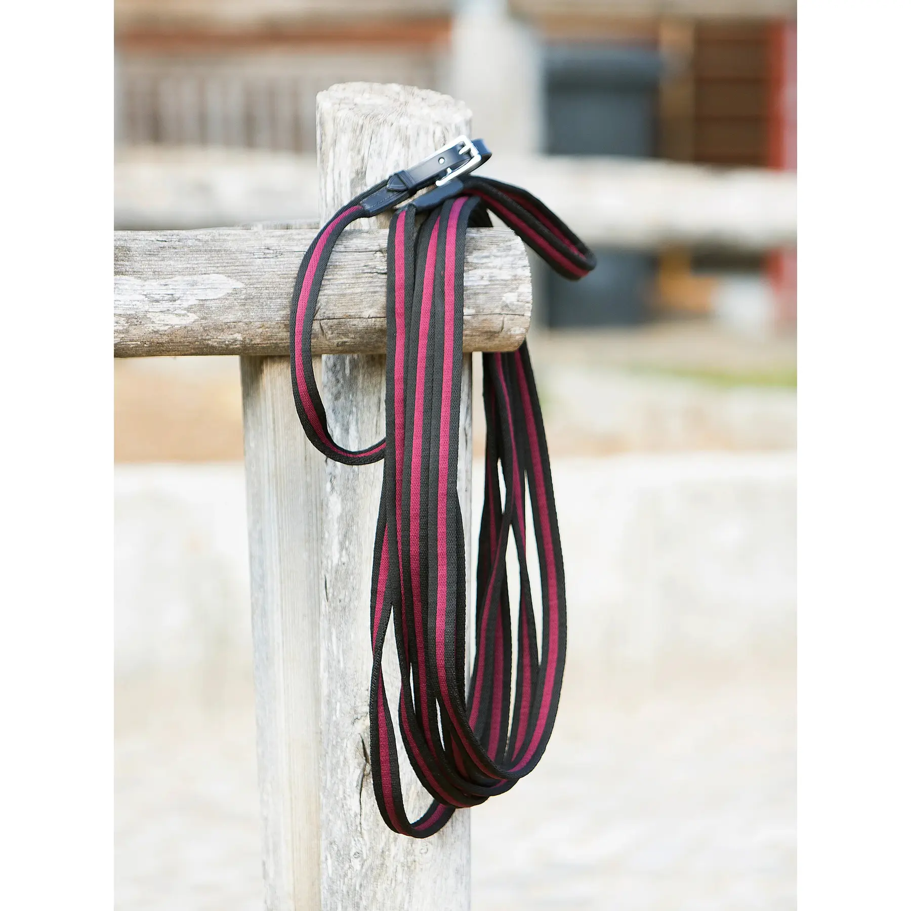 Meilleurs prix pour Longe équitation Kieffer Anja Beran