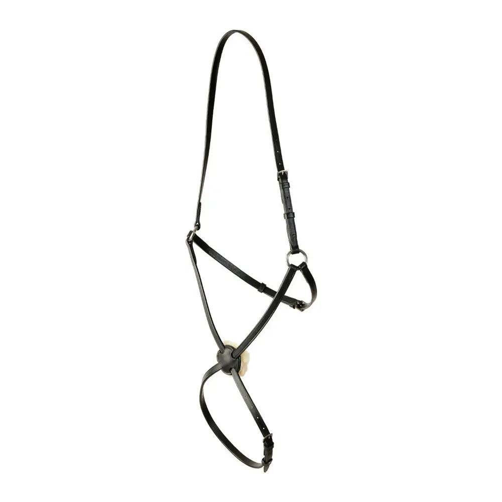 Kincade Noir Combined Bridle For Classic Horse Raised Grackle