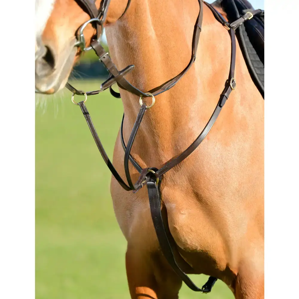 Plastron à 3 points avec martingale de course Kincade