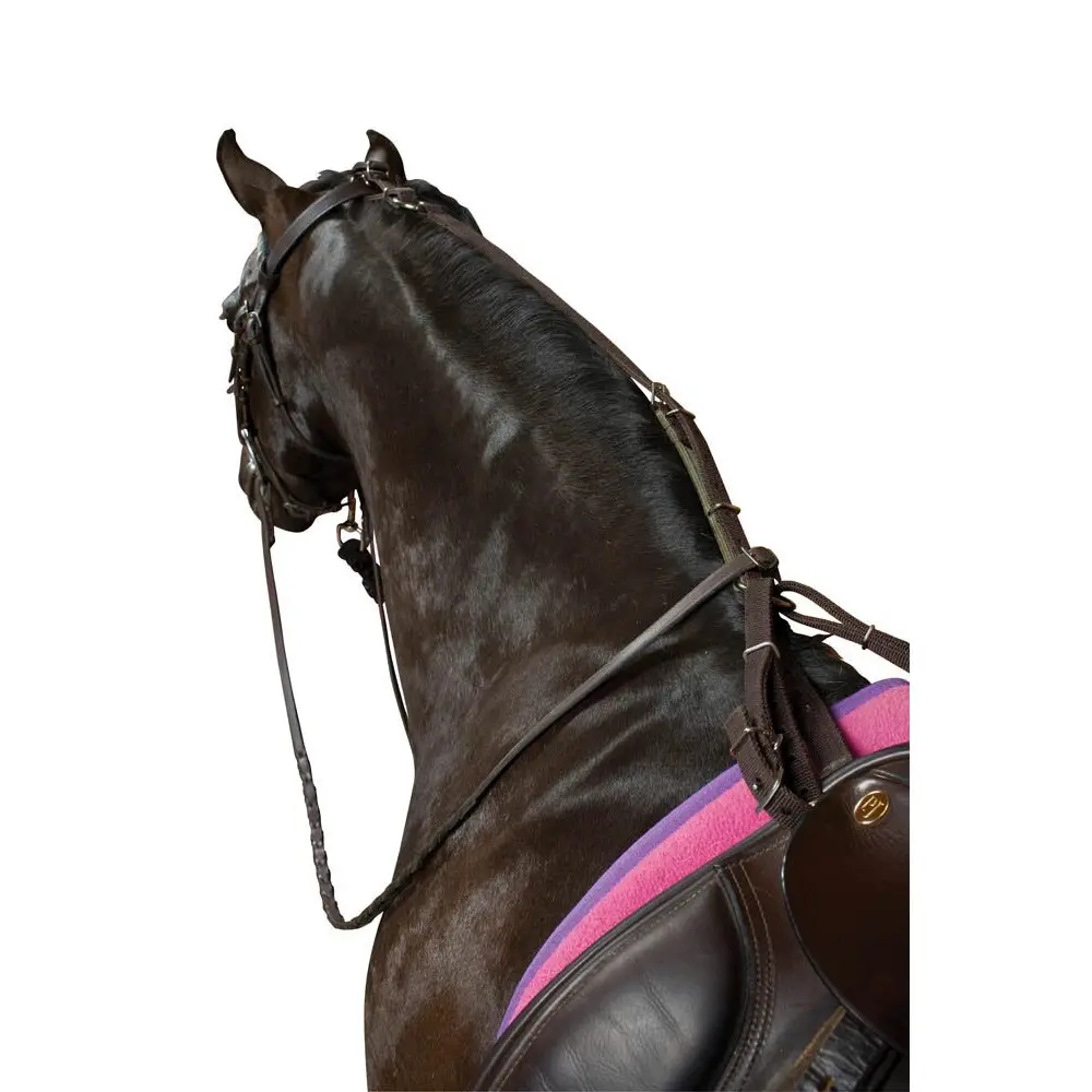 Meilleurs prix pour Sangle pour cheval anti-broutage Kincade Poly