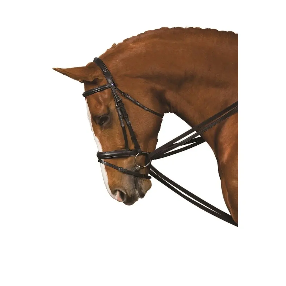 Comparer les prix de Rênes pour cheval Kincade Web Draw