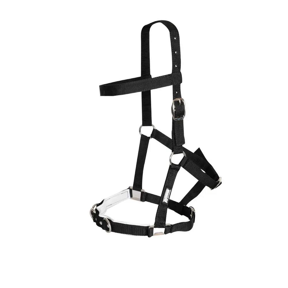 Comparer les prix de Longe de caveçon équitation Kincade Padded