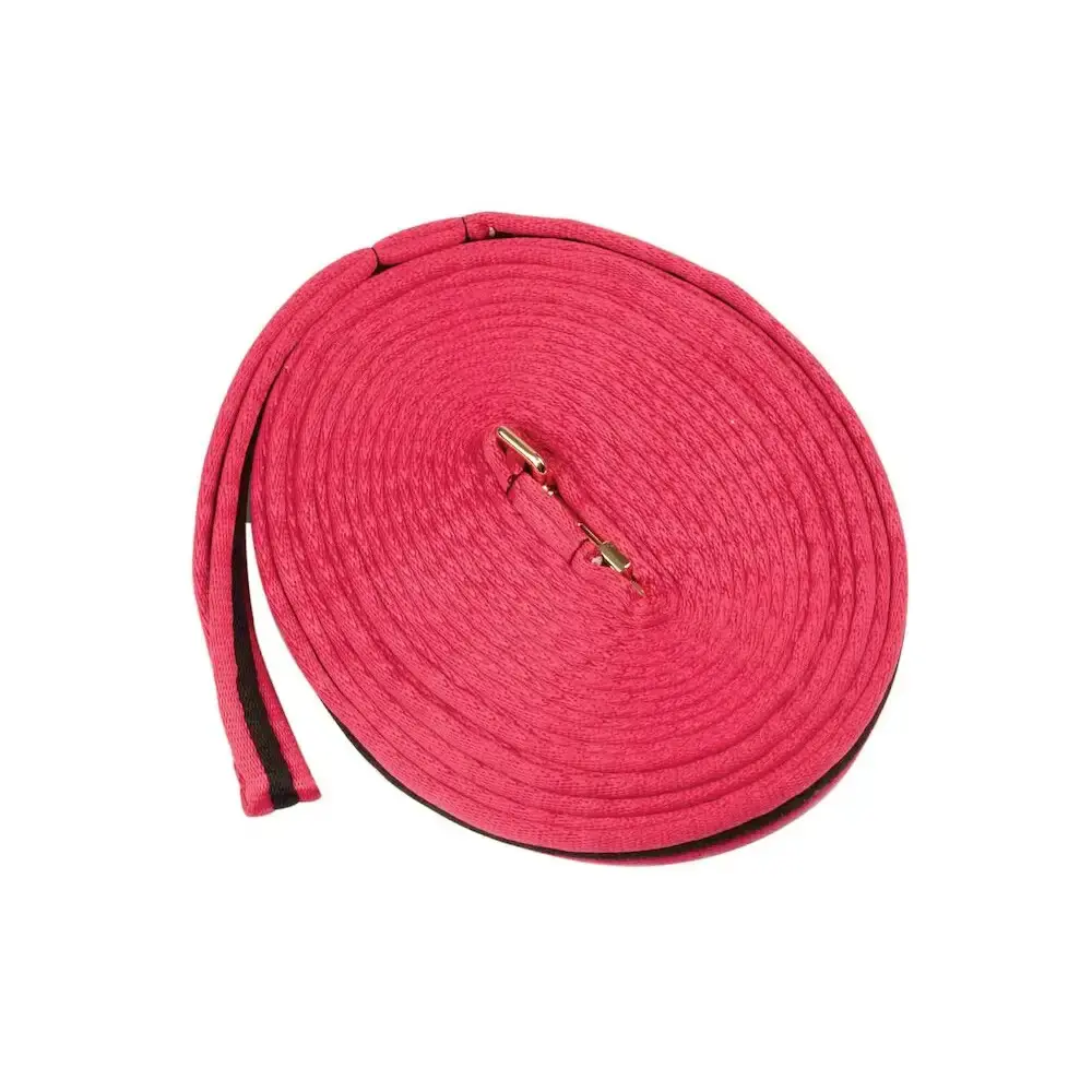 Longe pour longer cheval rembourrée Kincade Brights