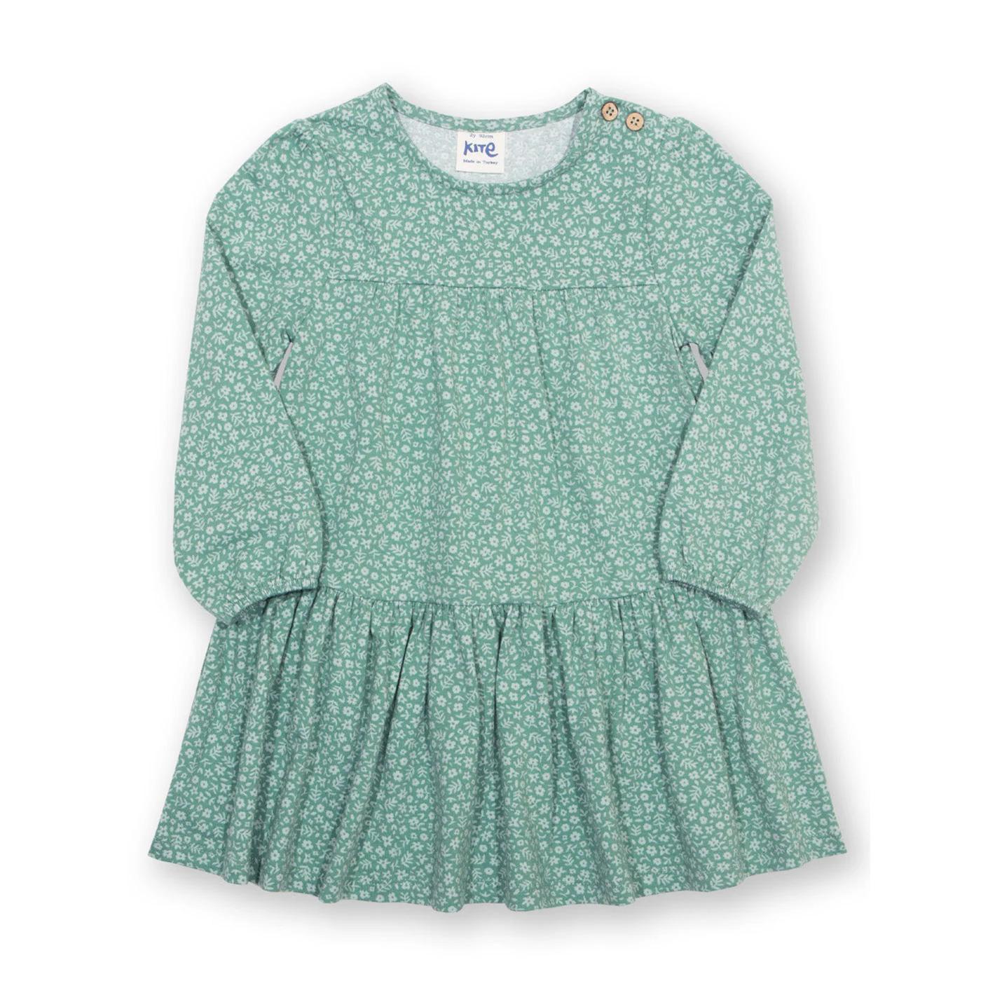 5056819201454 - Kleid für Baby-Mädchen mit langen Ärmeln Pixie Petals