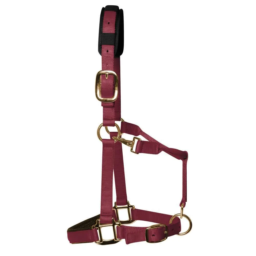 Gallop-Store UK