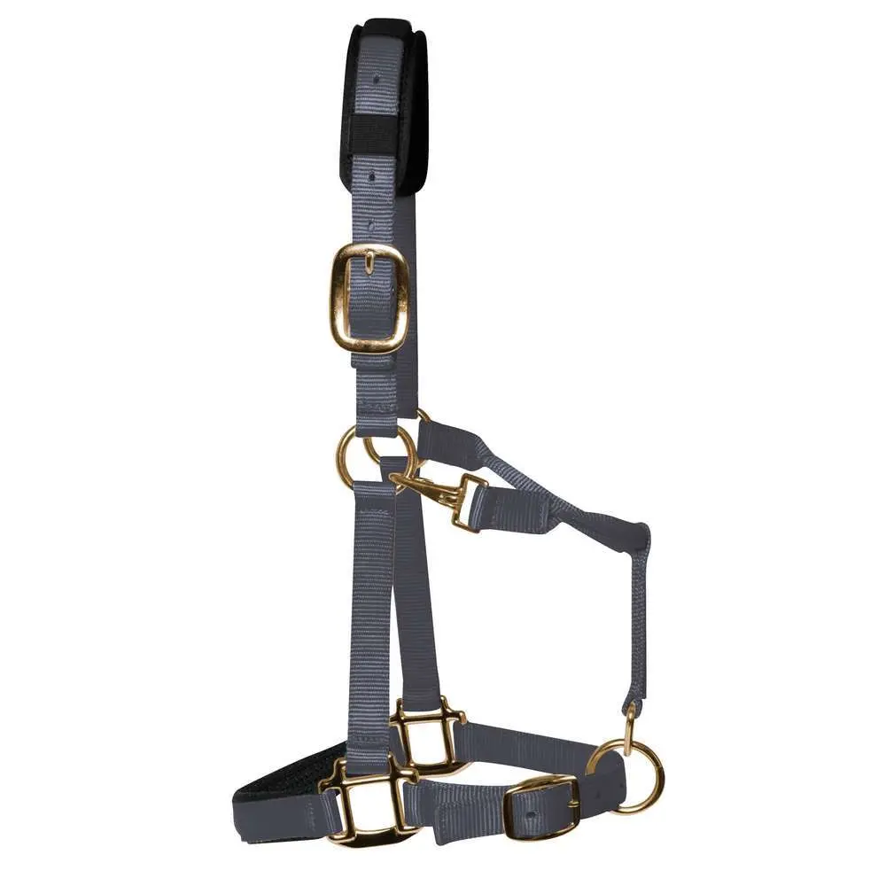 Km Elite Gris Luxury Nylon Halter For Horse