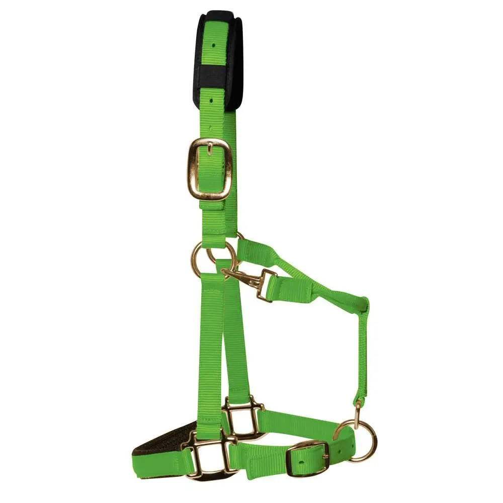Km Elite Vert Luxury Nylon Halter For Horse