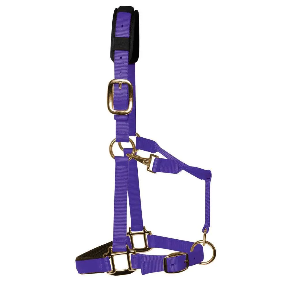 Km Elite Violet Luxury Nylon Halter For Horse