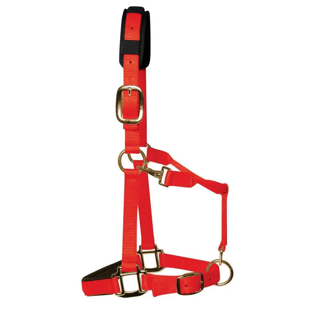 Km Elite Rouge Luxury Nylon Halter For Horse