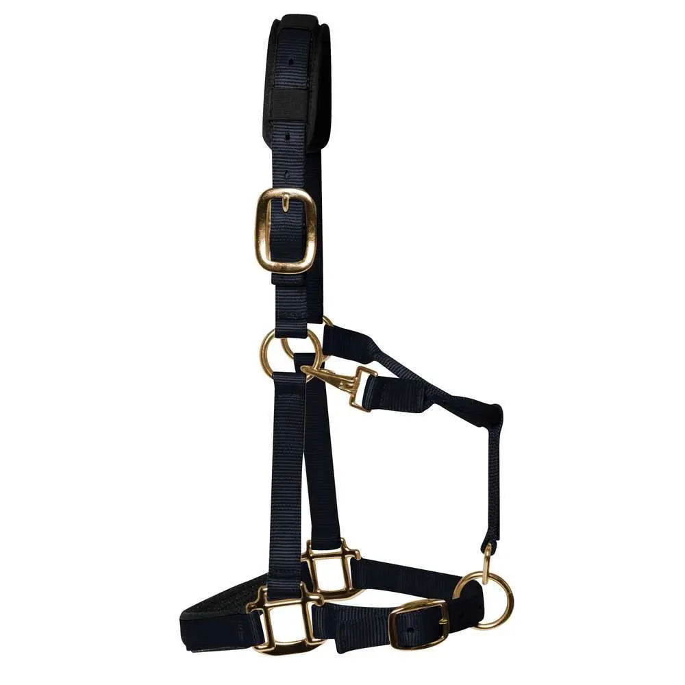 Km Elite Rose Luxury Nylon Horse Halter