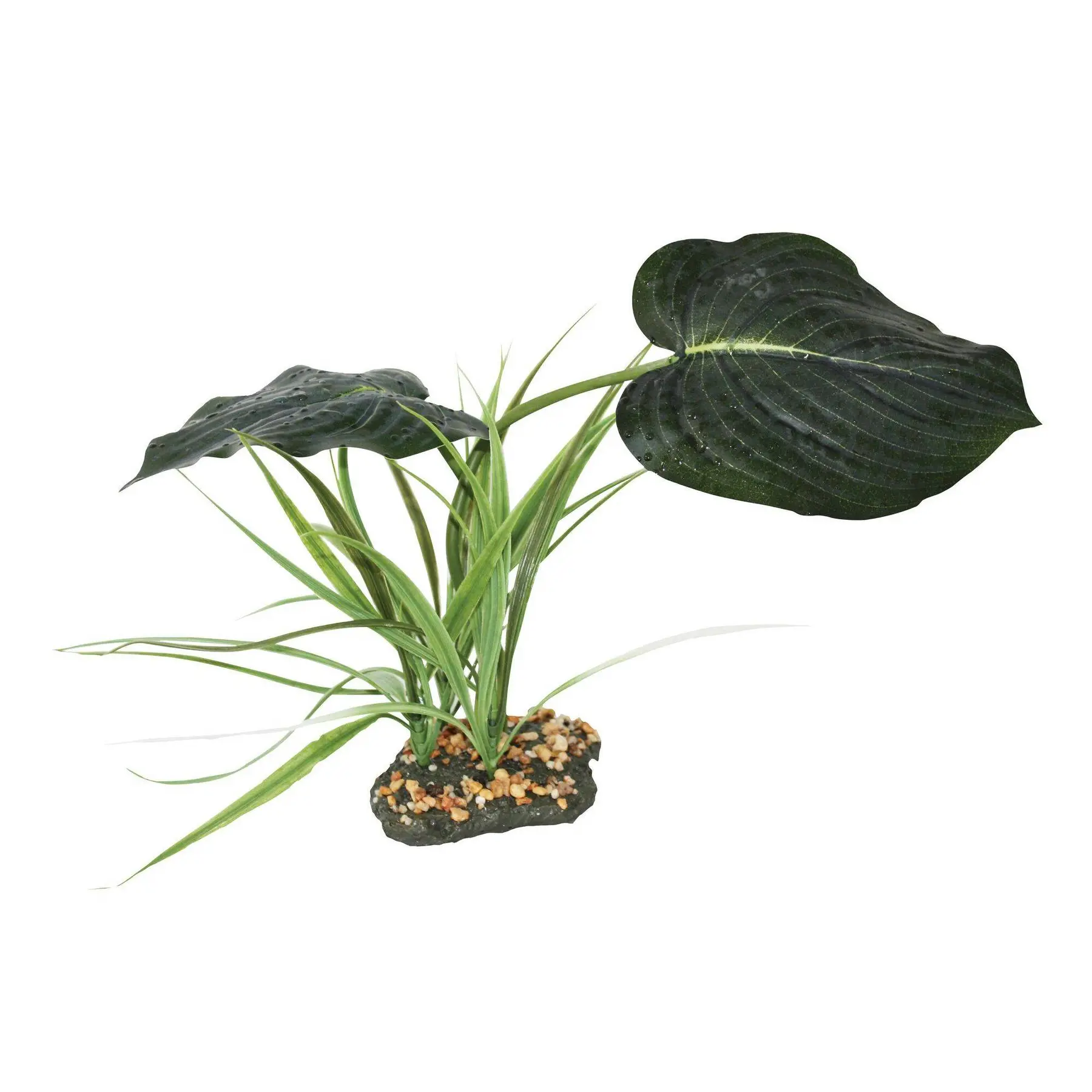 Meilleurs prix pour Komodo Woodland Canopy --Pp--