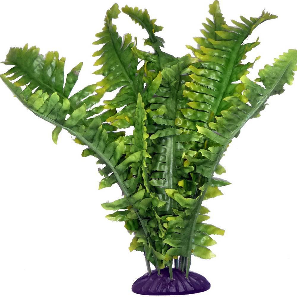 Comparer les prix de Décoration d'aquarium Komodo Boston Fern