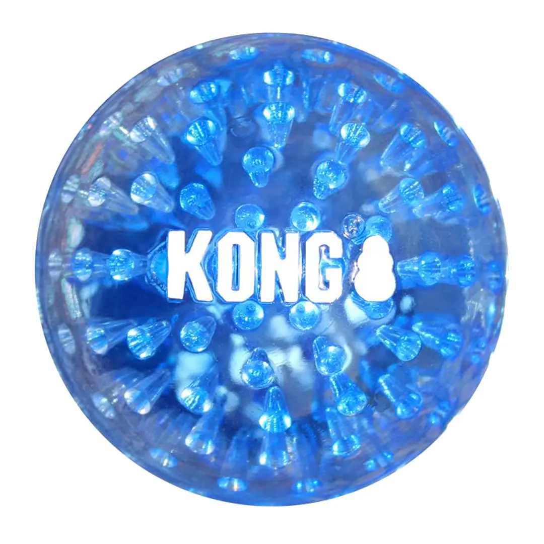 Jouet pour chien Kong Squeezz Geodz