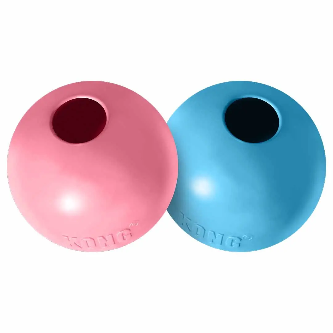 Balle pour chiot Kong Hole