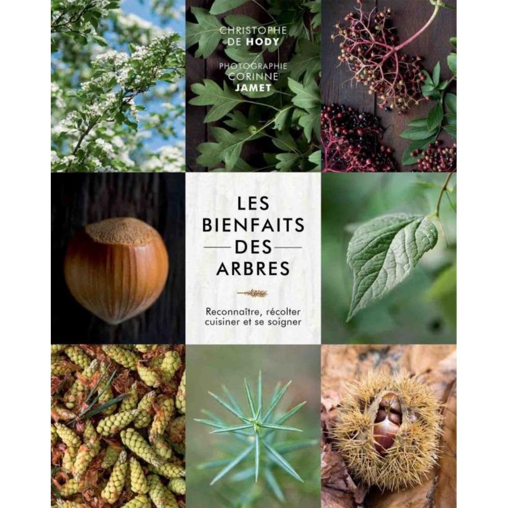 9782376710042 - Buch Les bienfaits des arbres