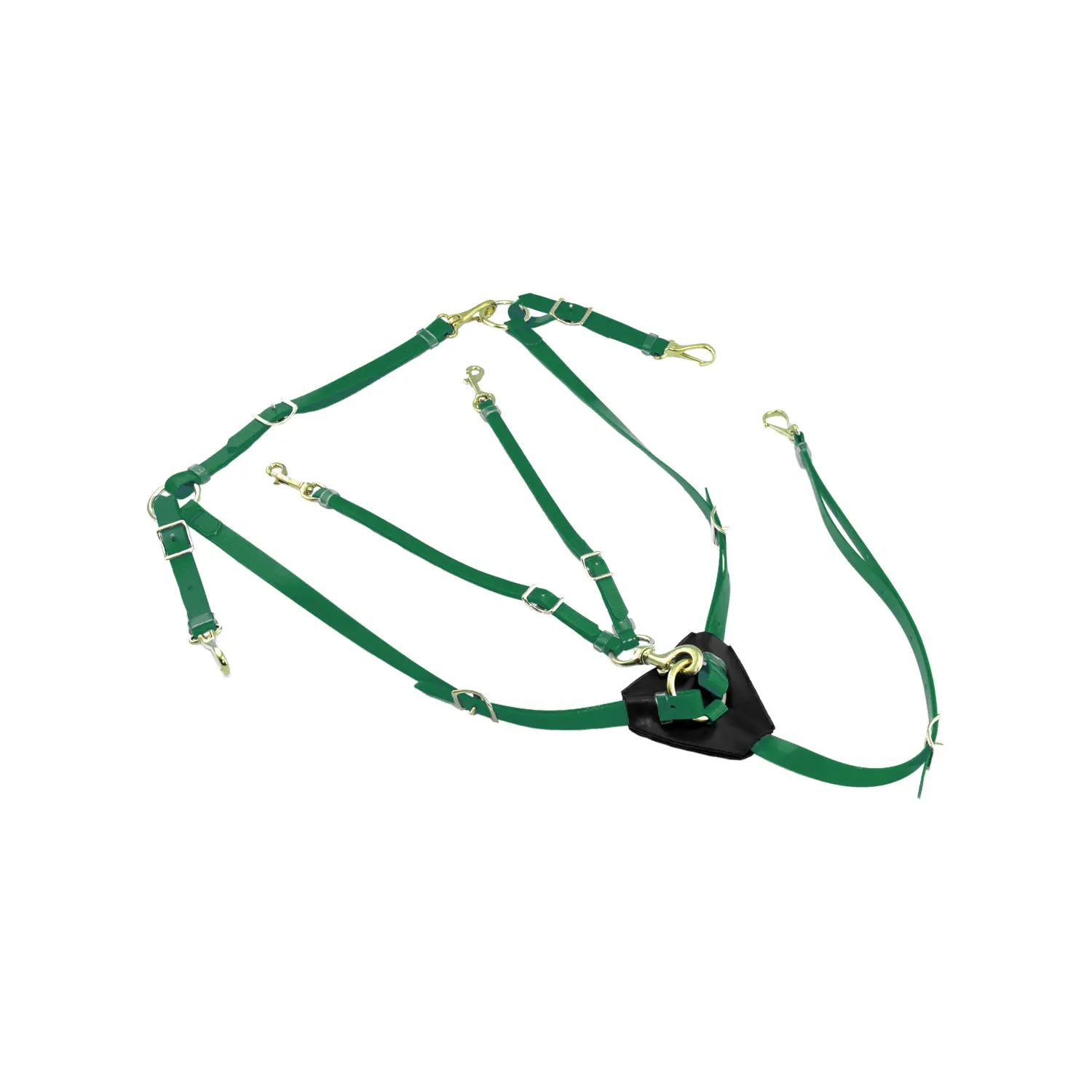 Lakota Vert Hunting Collar With Martingale In Biothane