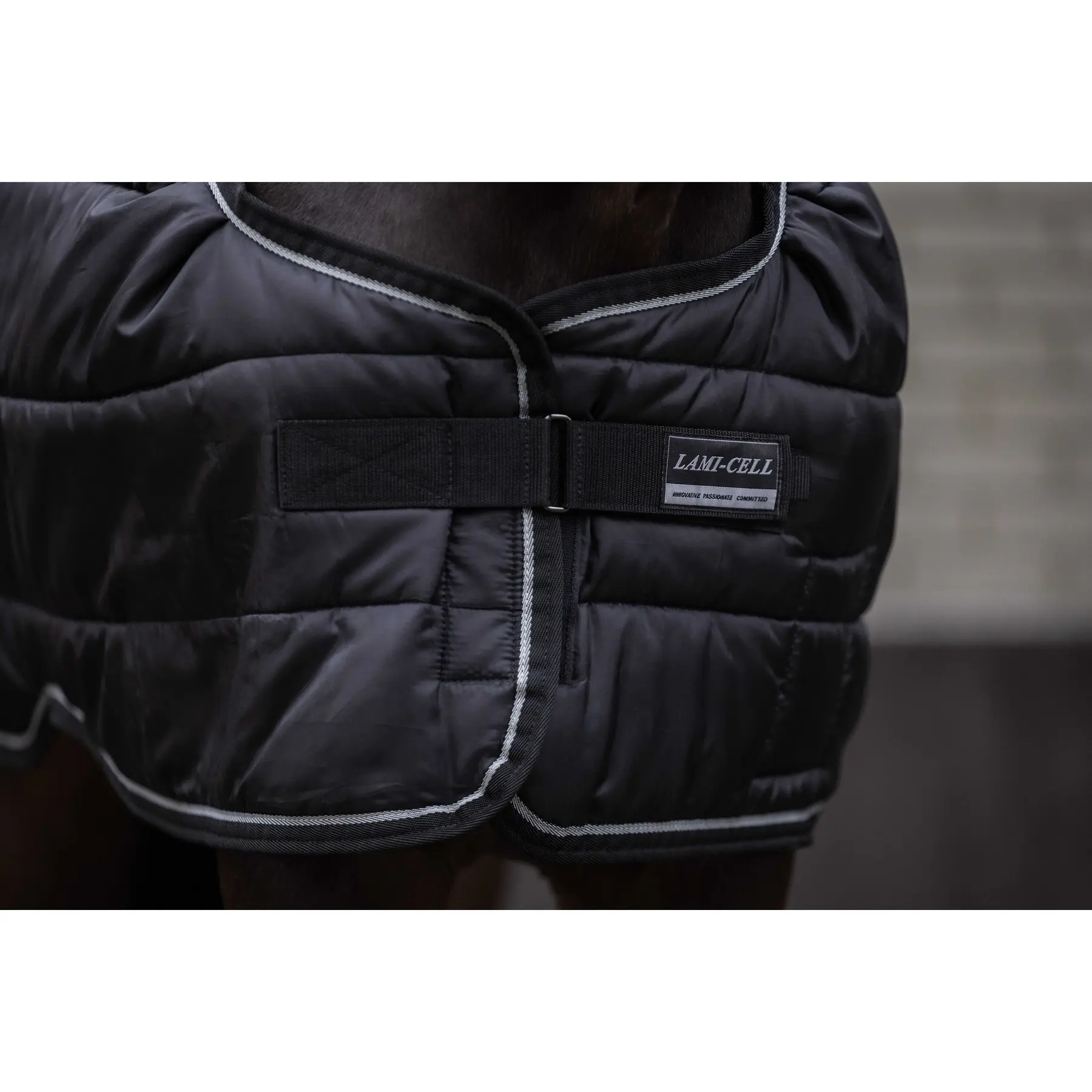 Comparer les prix de Sous-couverture pour cheval Lami-Cell 200g