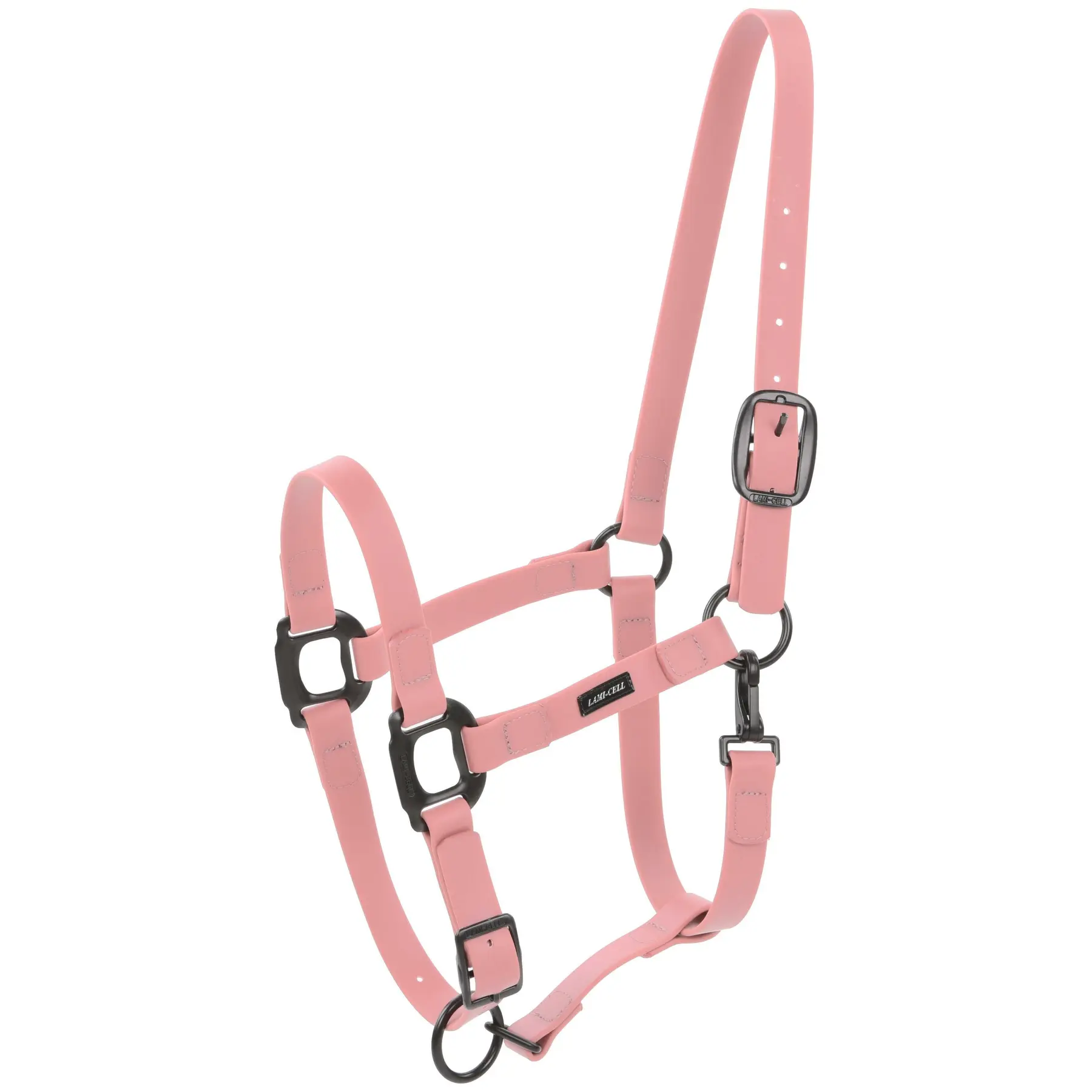 Meilleurs prix pour Licol pour cheval Lami-Cell Vibes