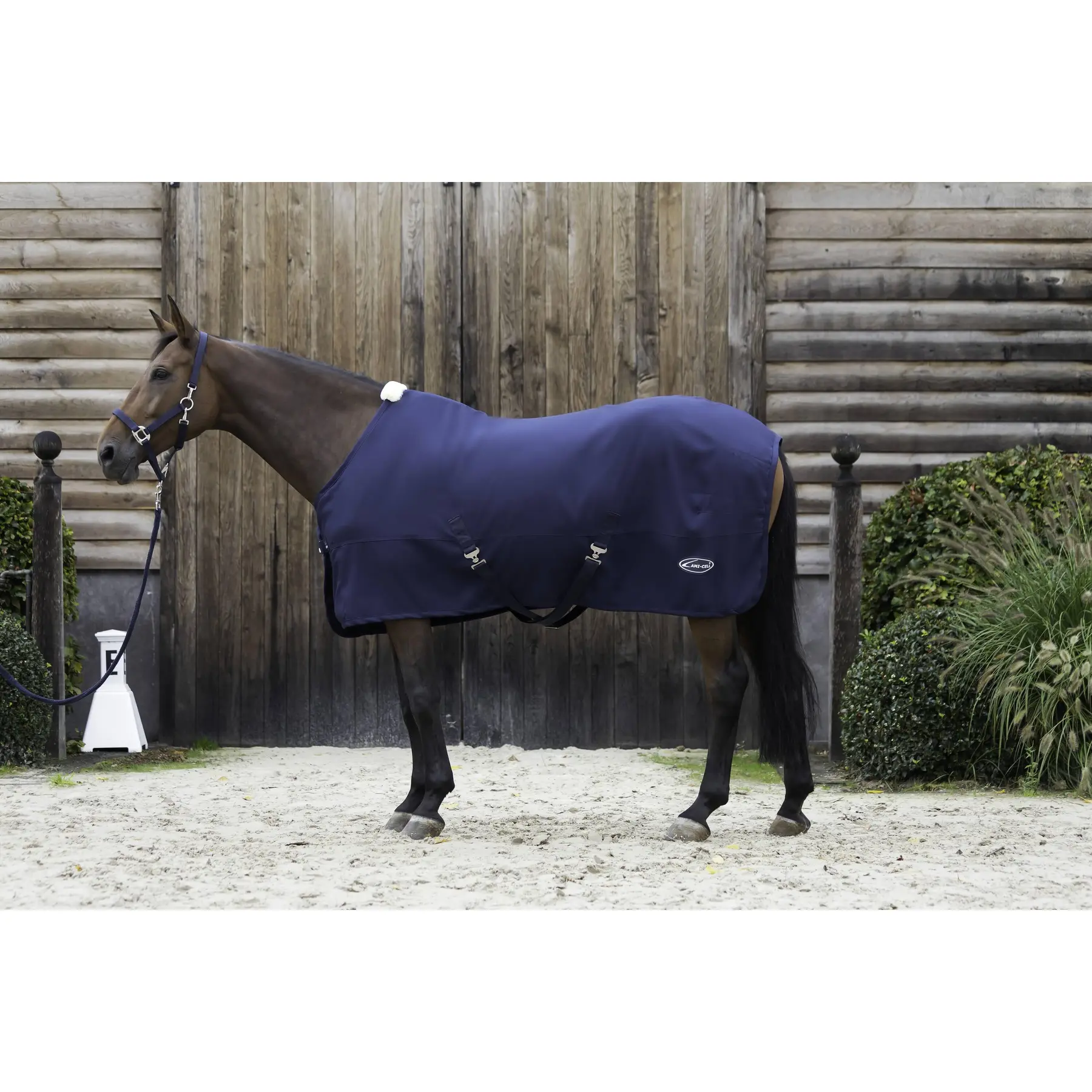 Comparer les prix de Chemise séchante pour cheval Lami-Cell WX Tech