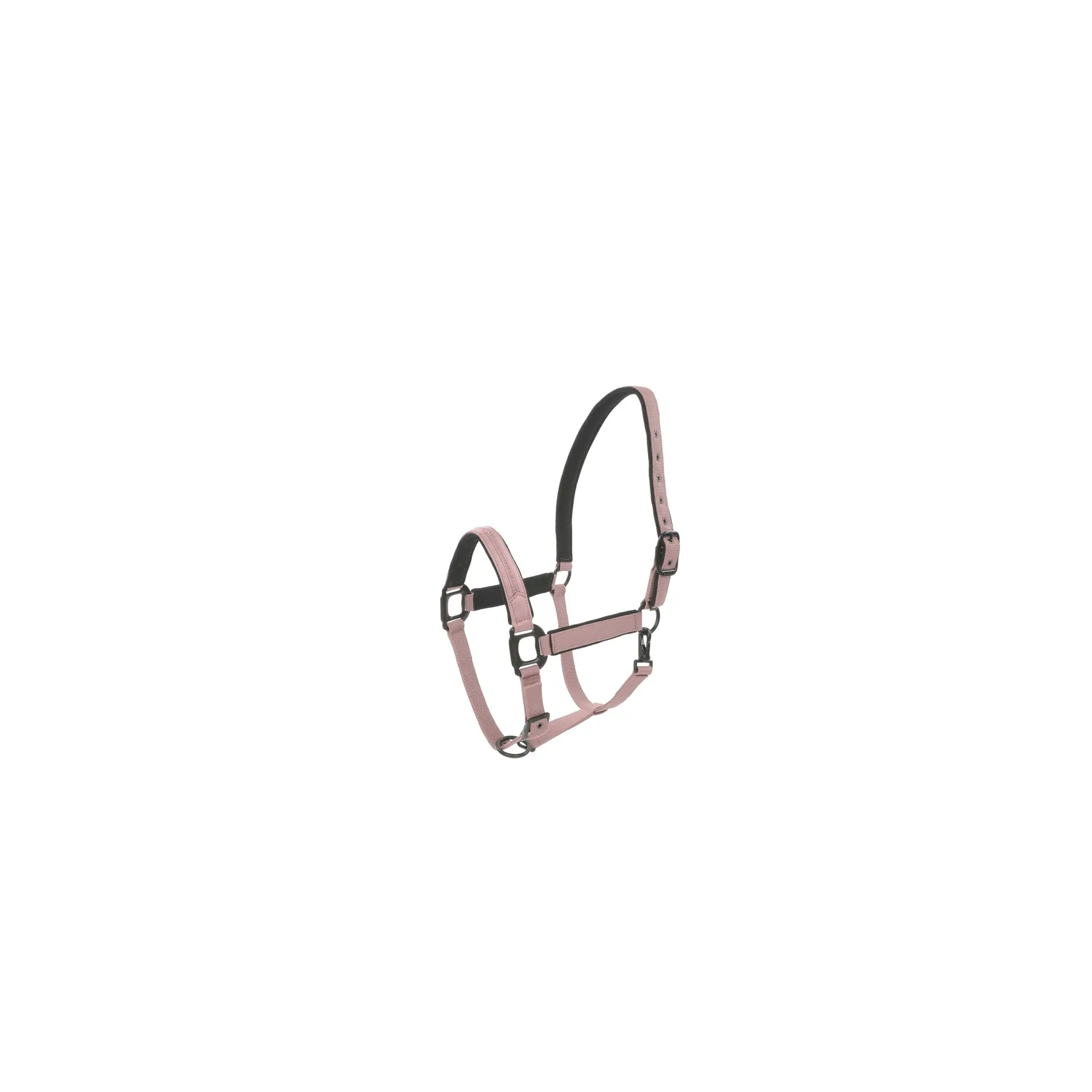 Lami-Cell Rose Halter For Horse Charming