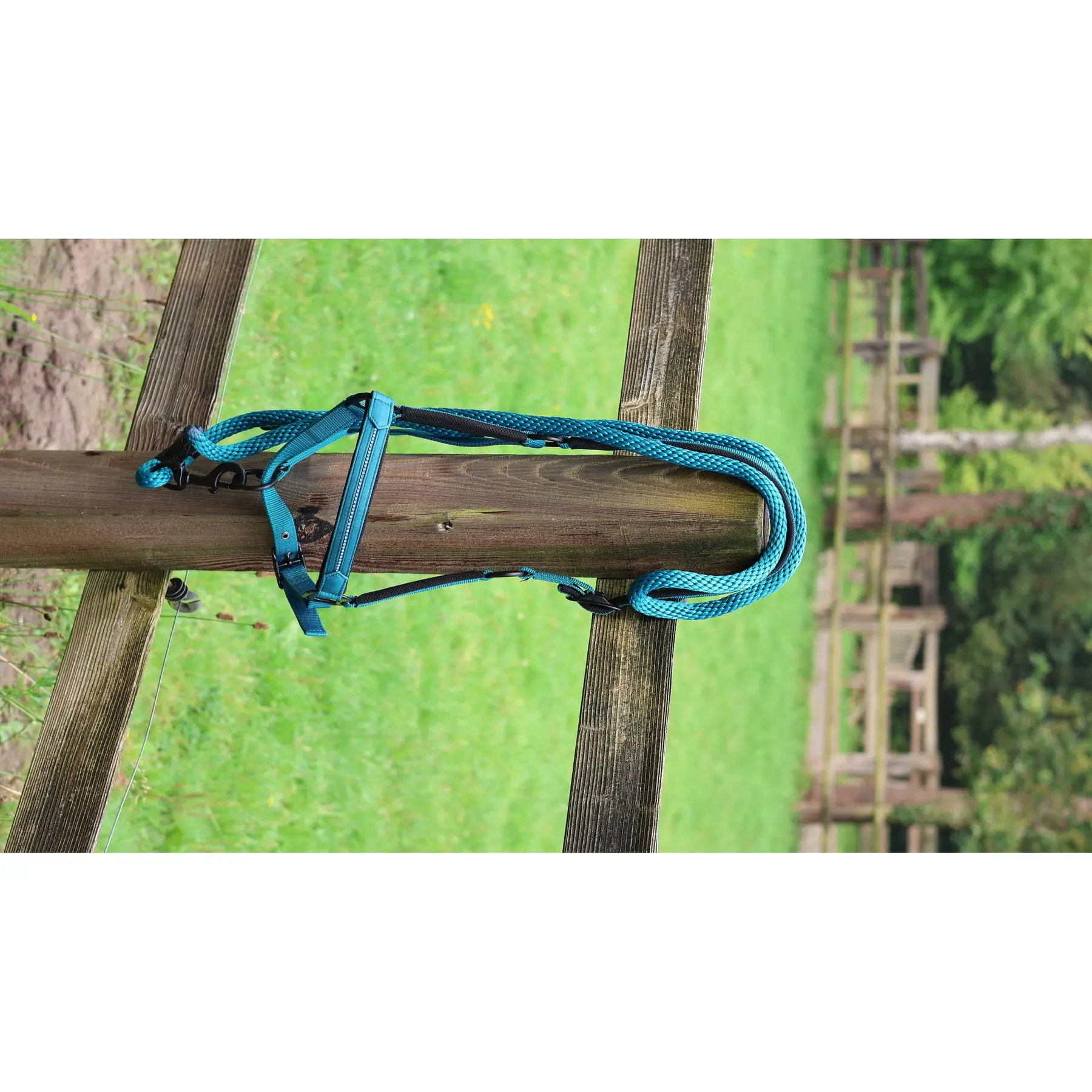 Comparer les prix de Longe équitation Lami-Cell Charming