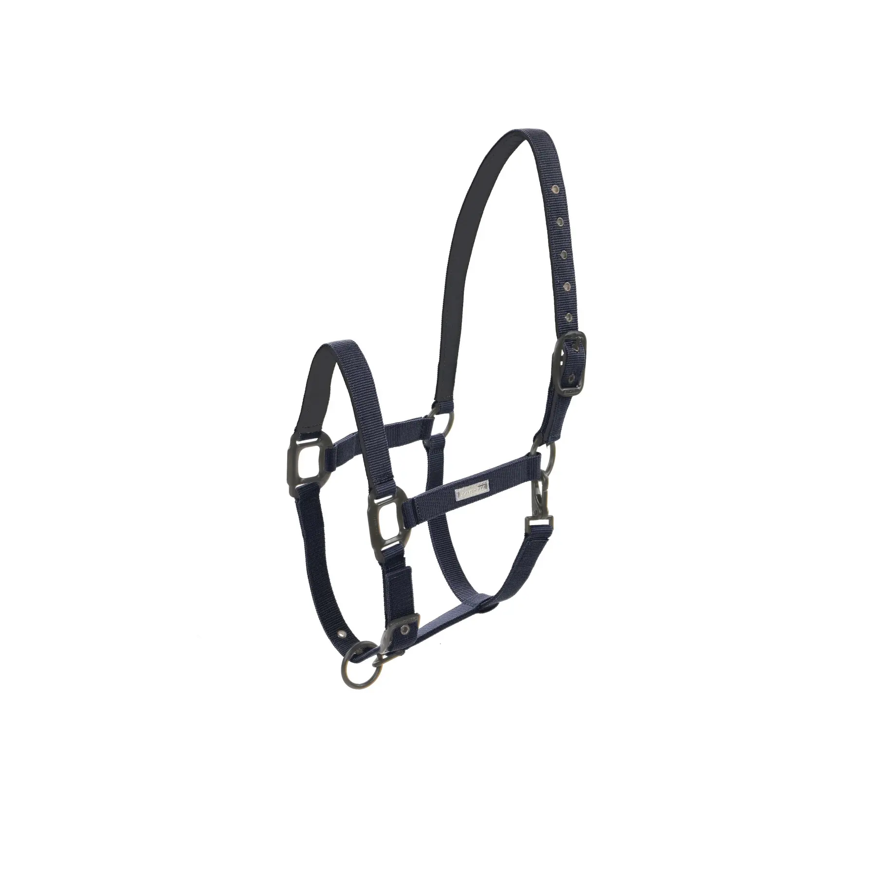 Lami-Cell Bleu Halter For Horse Midnight