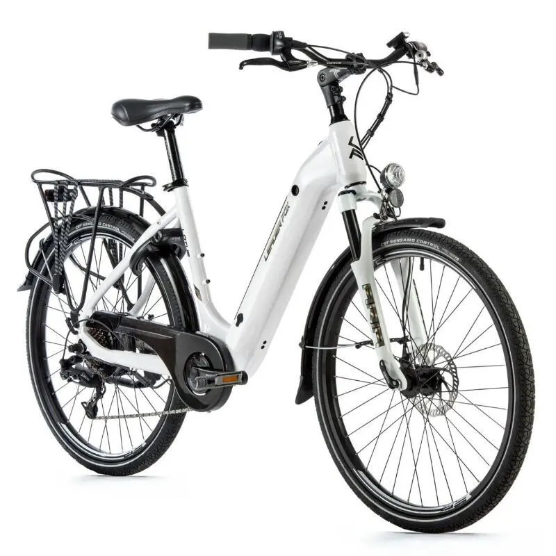 Bicicletta elettrica con motore ruota posteriore bafang Leader Fox Lotus 2023 36V 45Nm