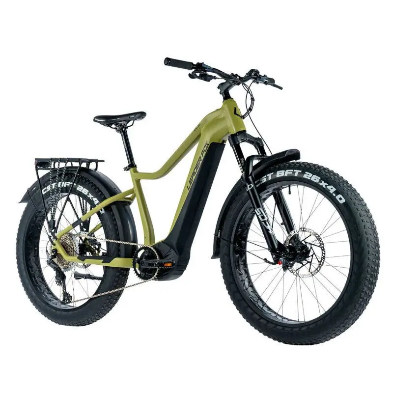 Elektrofahrrad Leader Fox Brasa 2024