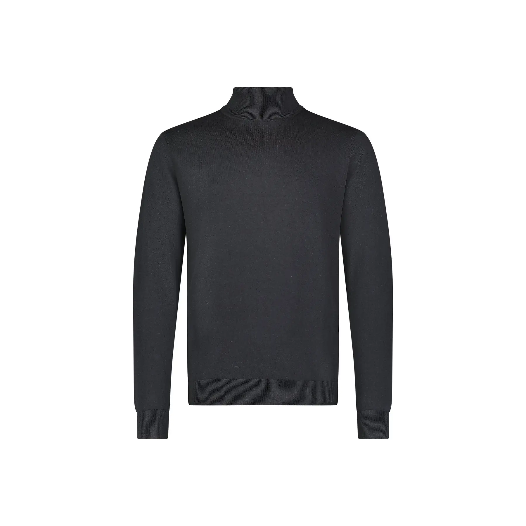 5401139148253 - Pullover mit Rollkragen Lee