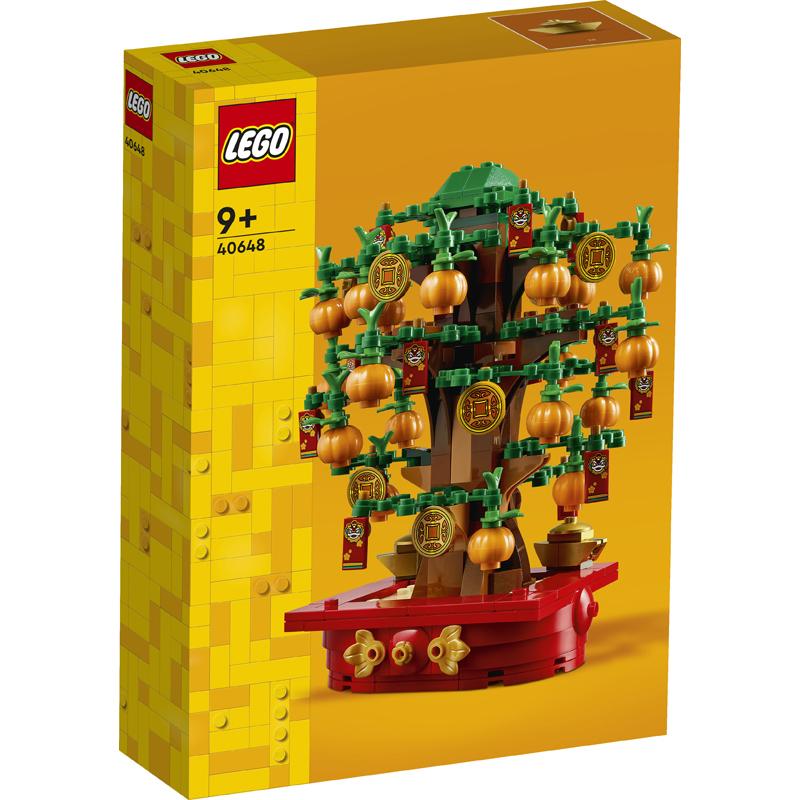 product/l/e/lego_a2502073_marron-vert-rouge_2.jpg