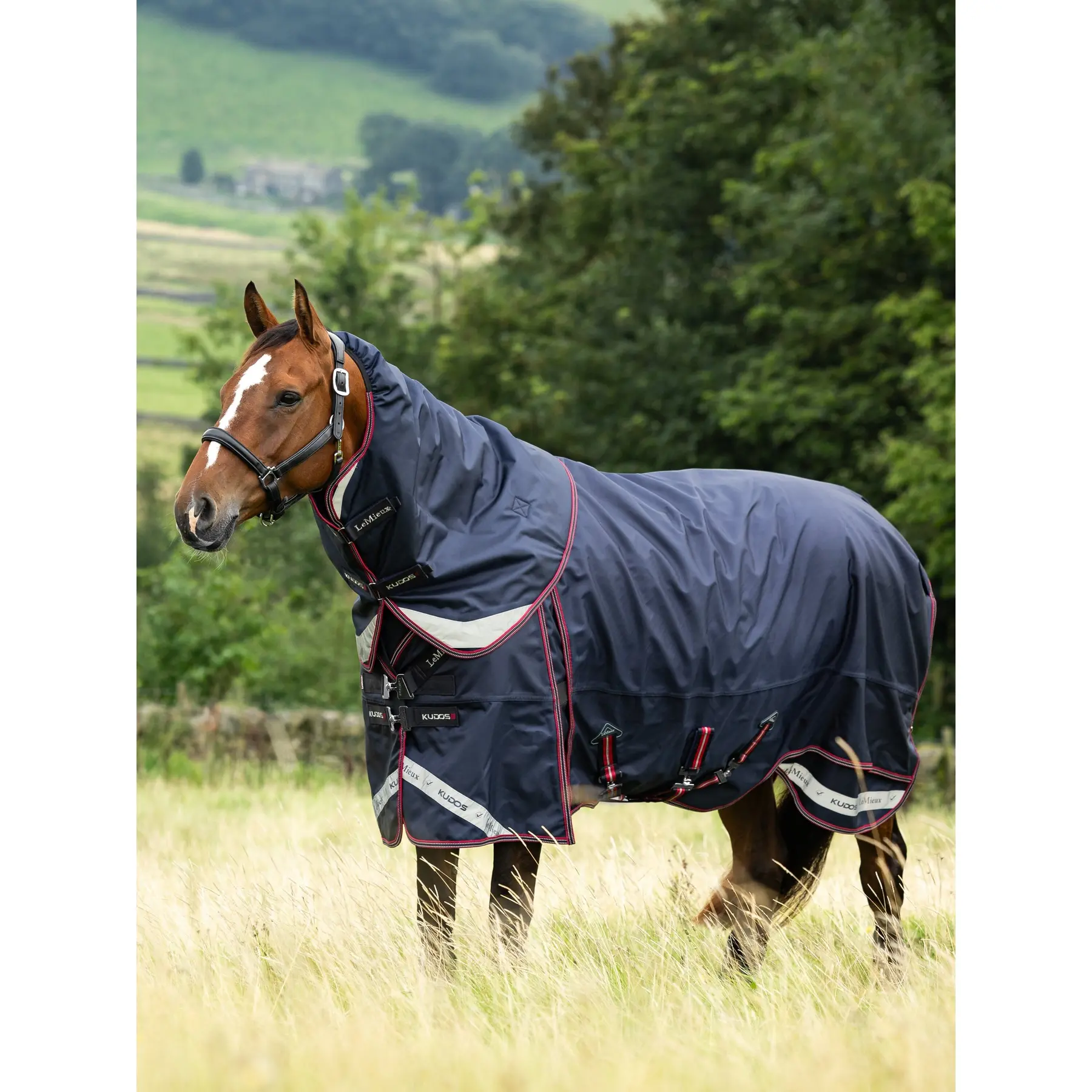 Comparer les prix de Couverture d'extérieur pour cheval LeMieux Kudos Thermo Pro 300g