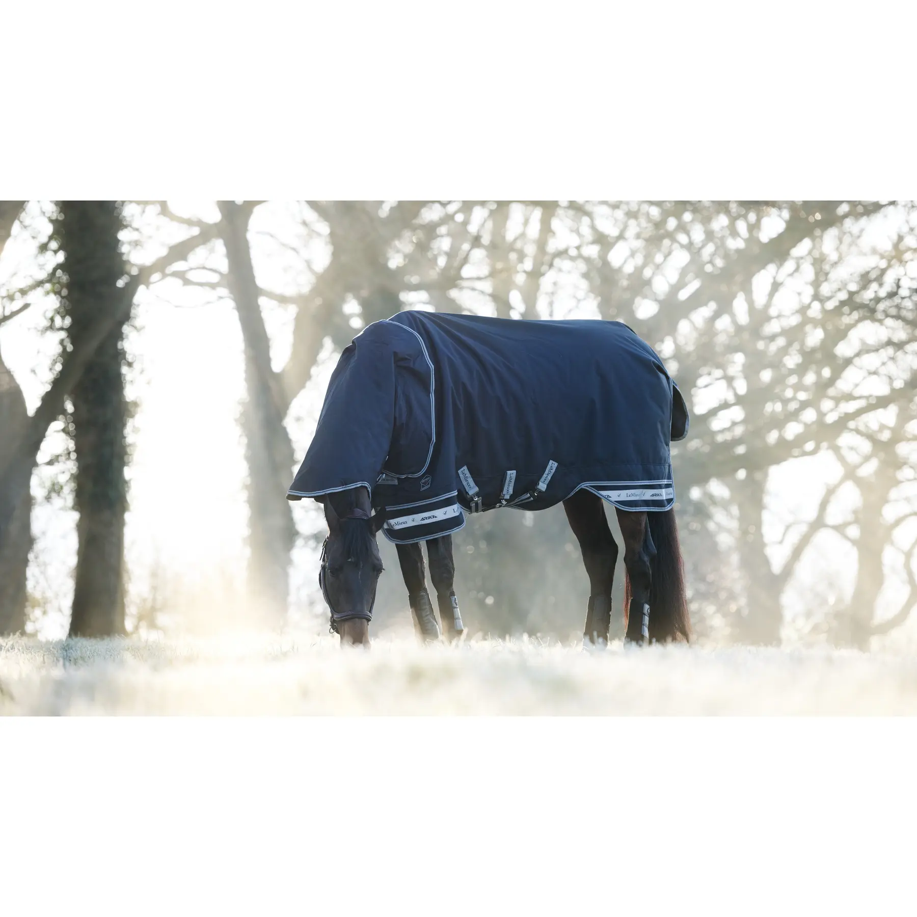 Comparer les prix de Couverture d'extérieur pour cheval LeMieux Arika Storm-Tek 200g