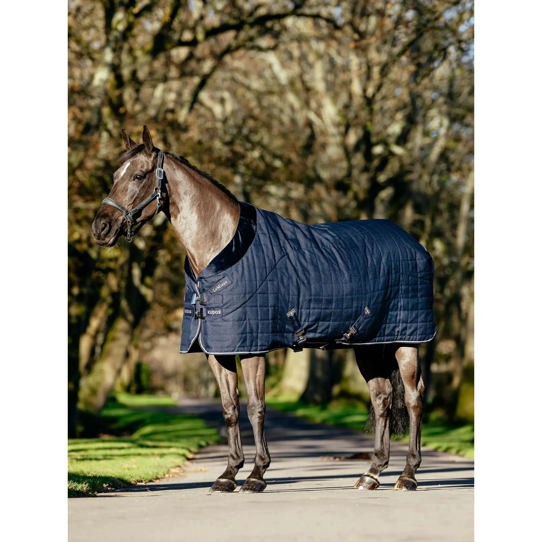 Lemieux Bleu Lined Stable Blanket For Horse Kudos Luxe 100G