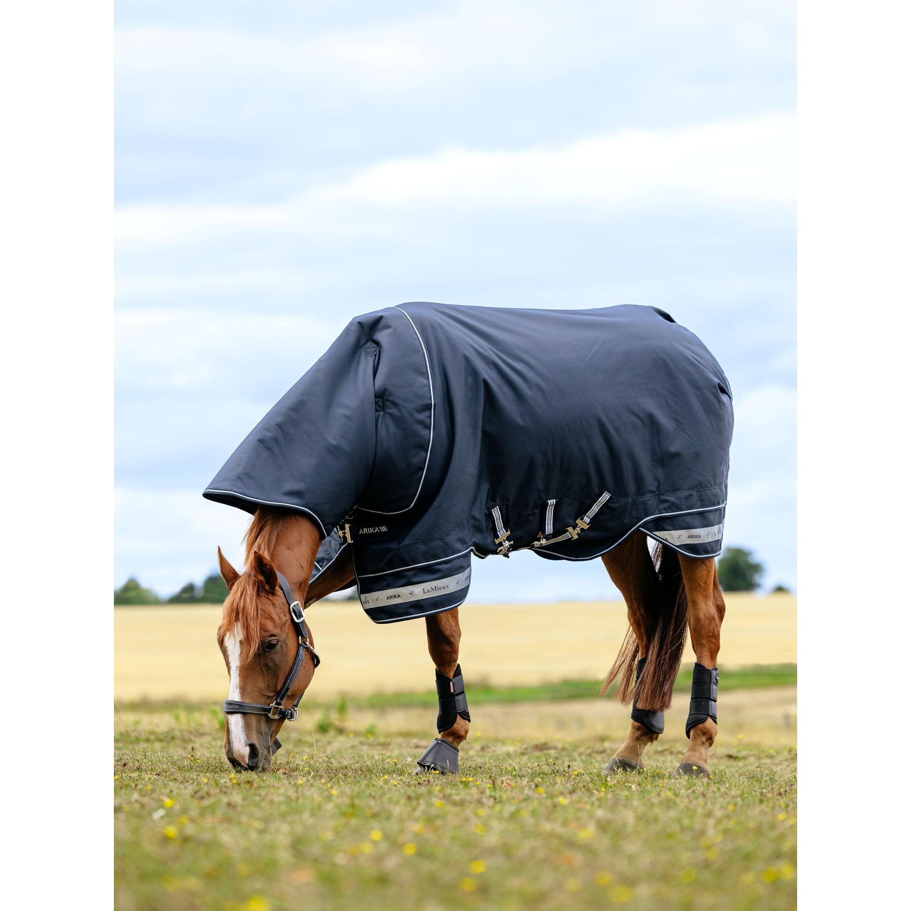 Coperta impermeabile per cavalli LeMieux Arika Storm-Tek 350g