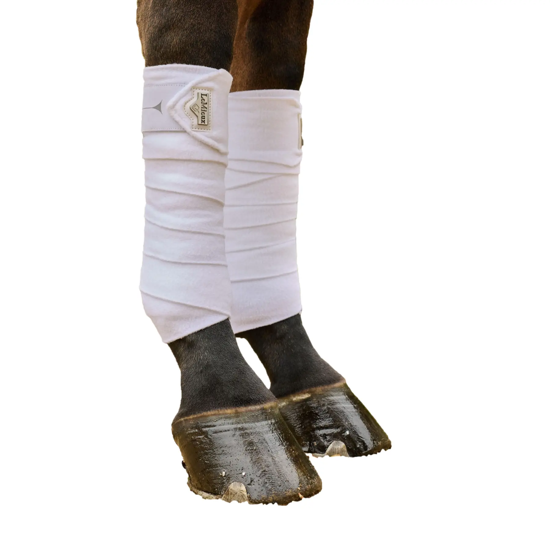 Comparer les prix de Bandes de polo pour cheval LeMieux Elevate