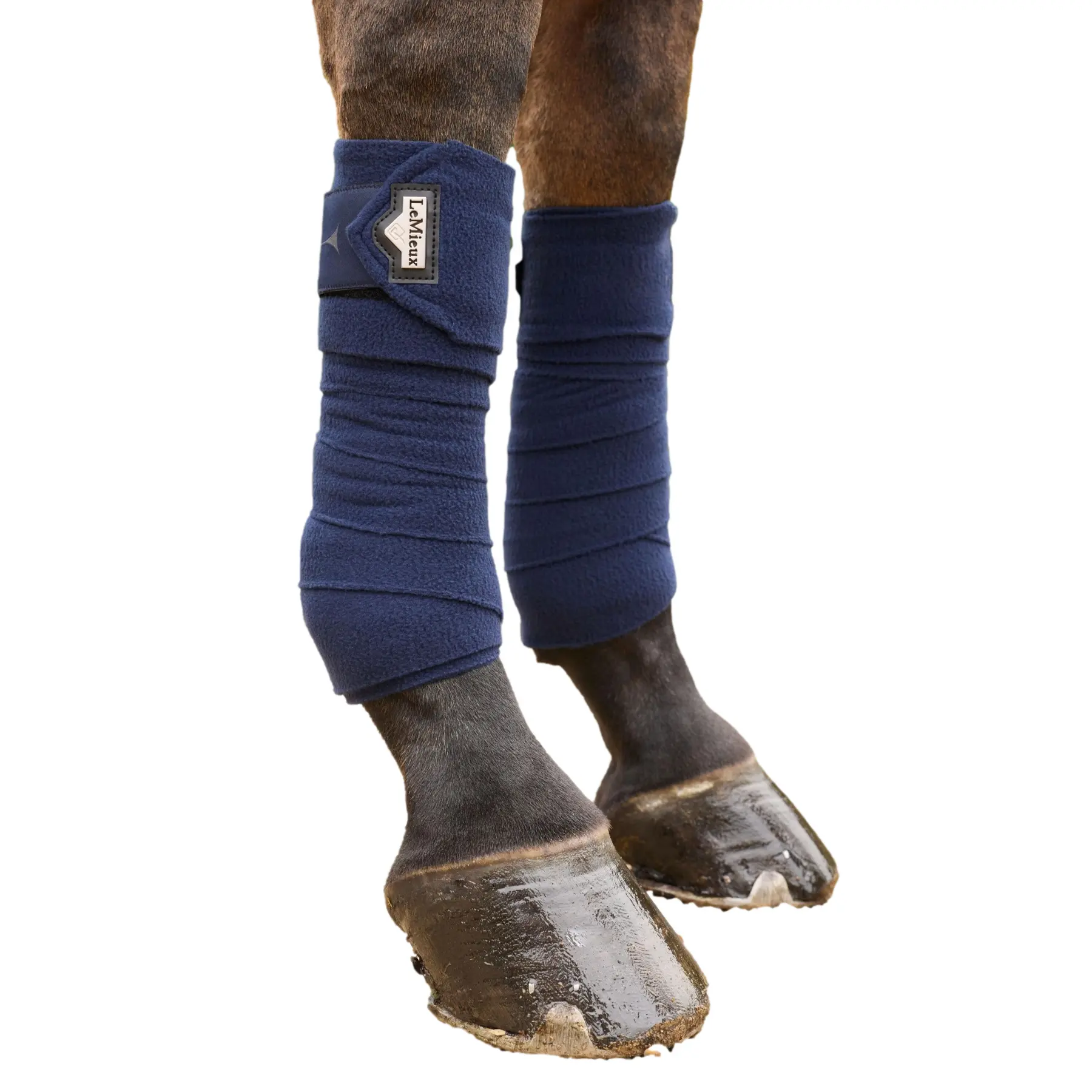 Lemieux Bleu Polo Strips For Horses Elevate