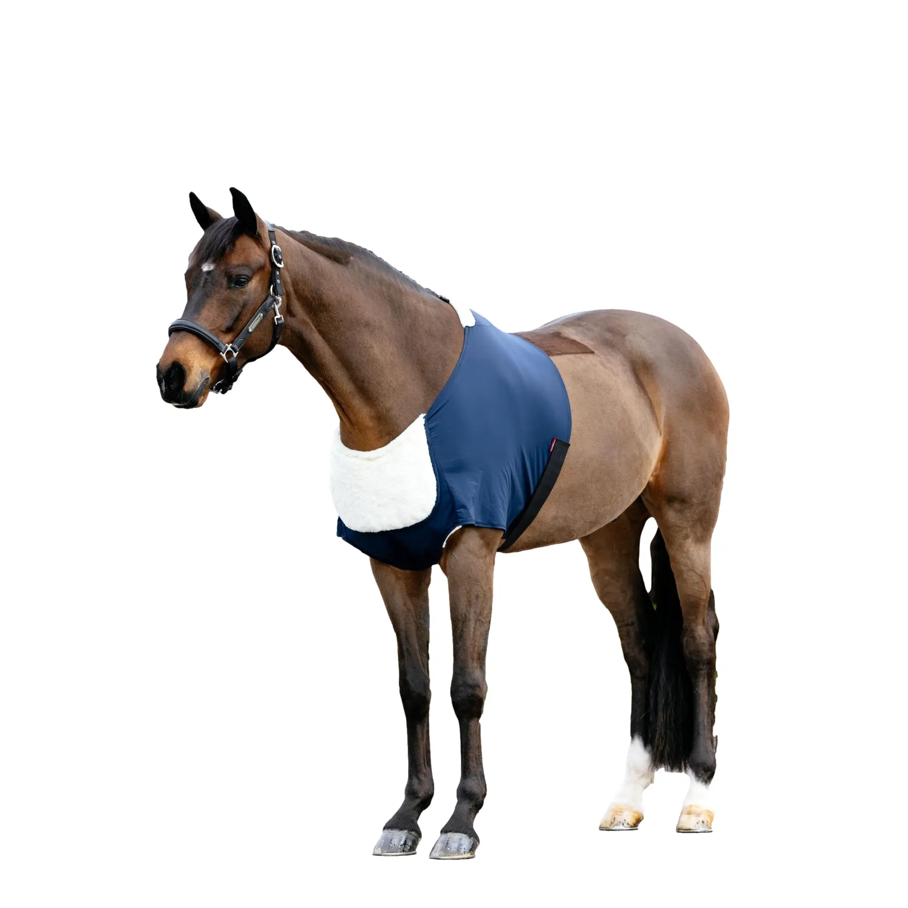 Protection de poitrail cheval anti-frottement Sensitive LeMieux