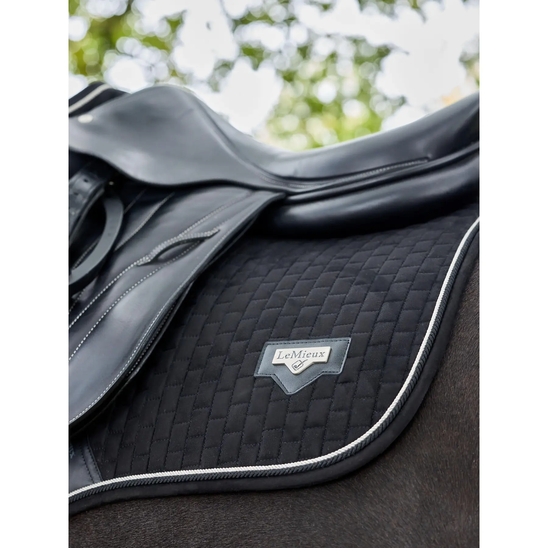Lemieux Noir Jumping Saddle Pad Square Puissance