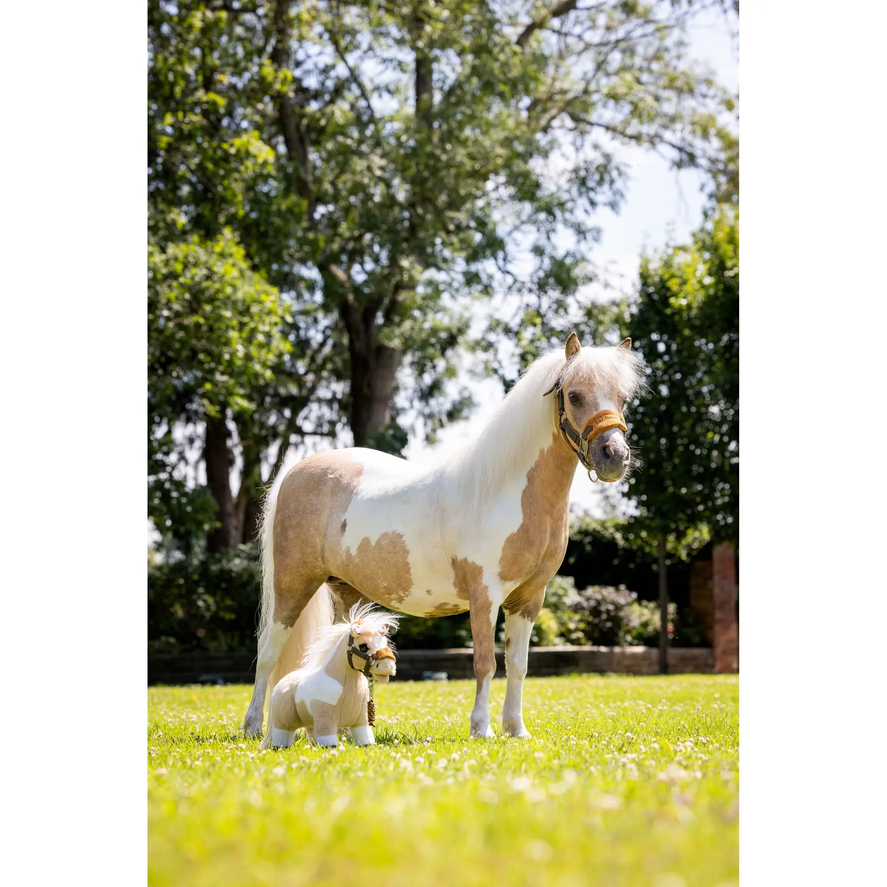 Accessoire pour Hobby Horse LeMieux Lemon