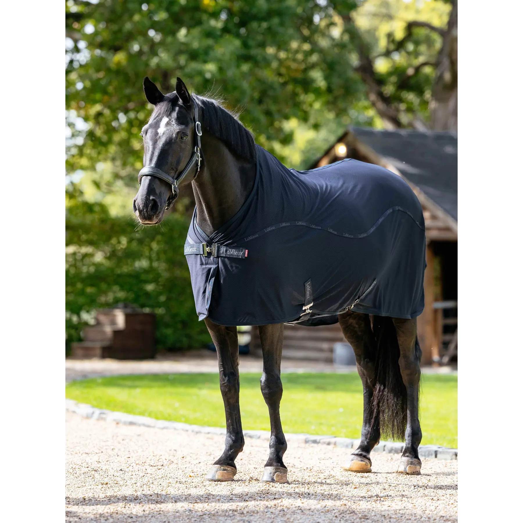 Chemise pour cheval LeMieux Arika Air-Tek