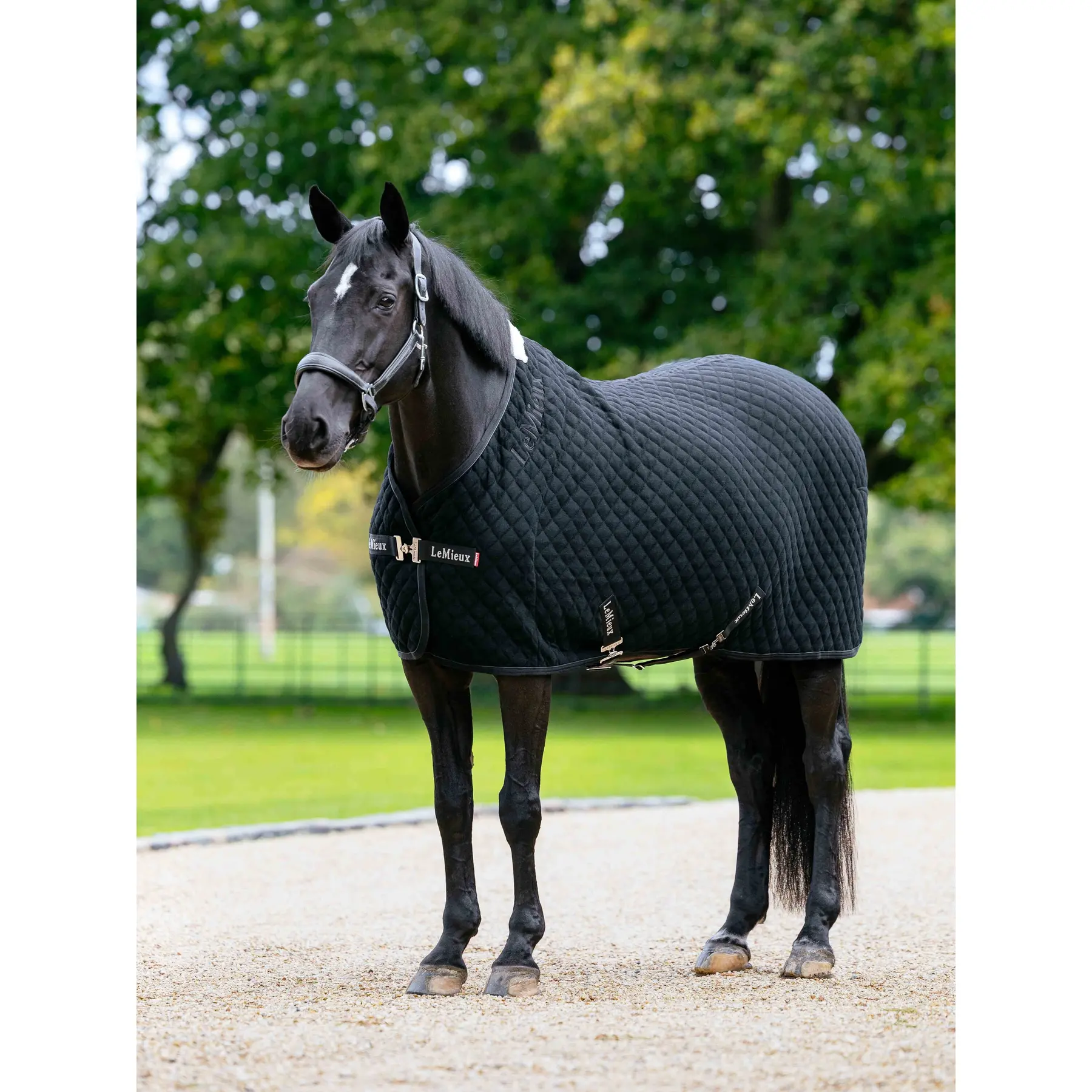 Couverture séchante pour cheval LeMieux Arika Clima-Tek