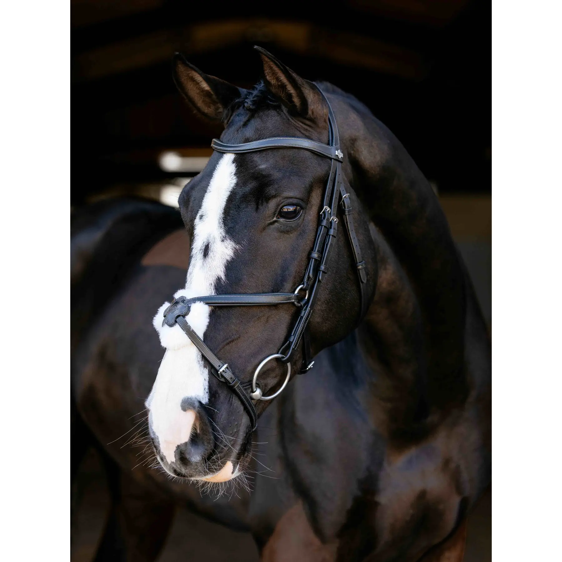 Bridon équitation muserolle croisée LeMieux