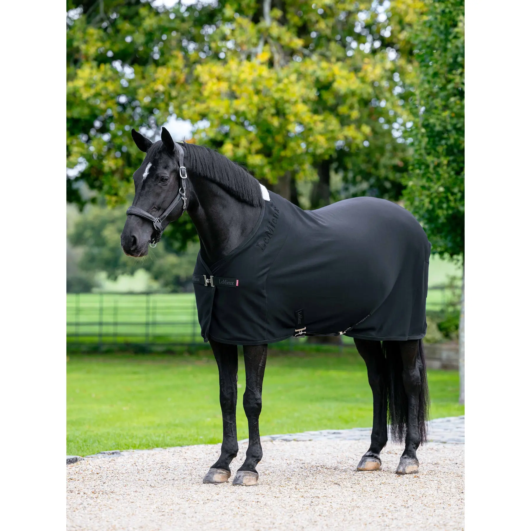 Couverture polaire pour cheval LeMieux Arika Jersey-Tek