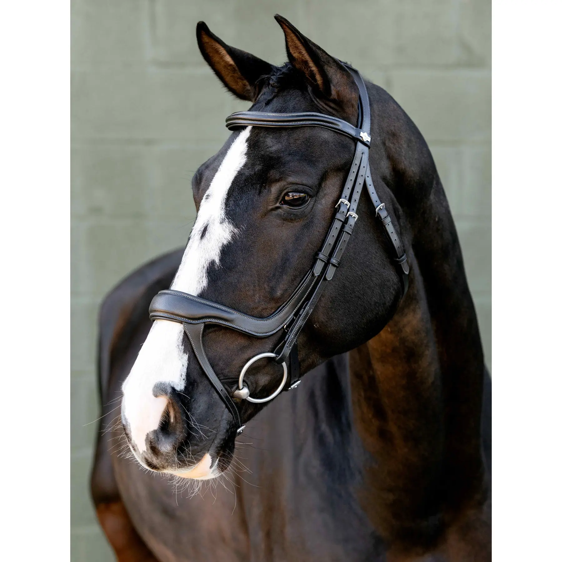 Bridon d'équitation muserolle fendue LeMieux