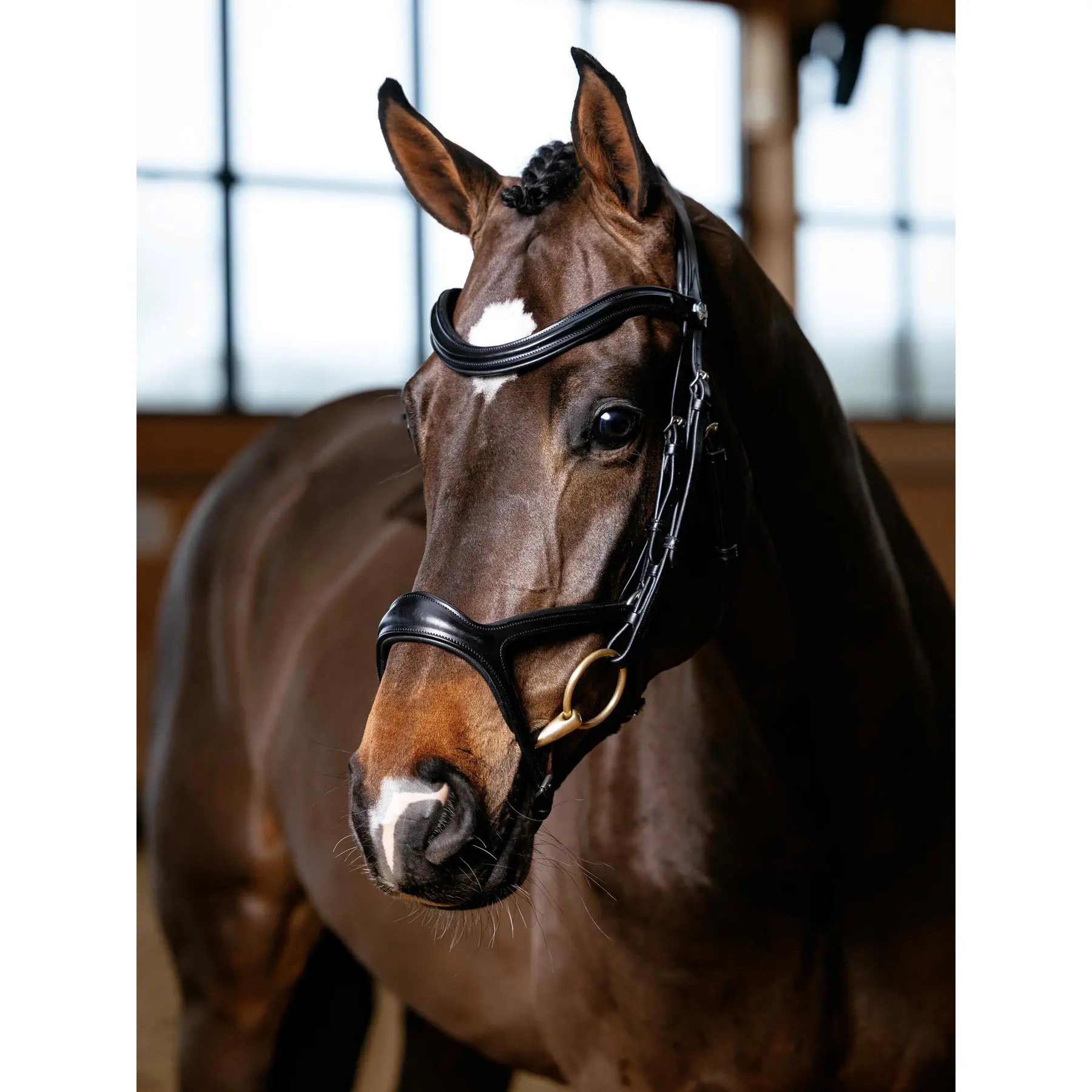 Bridons équitation pour cheval LeMieux Kudos