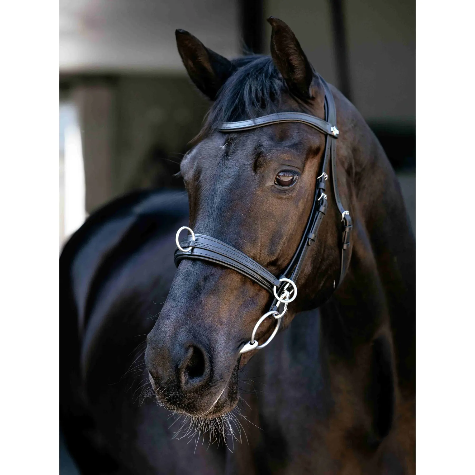Caveçon pour cheval LeMieux