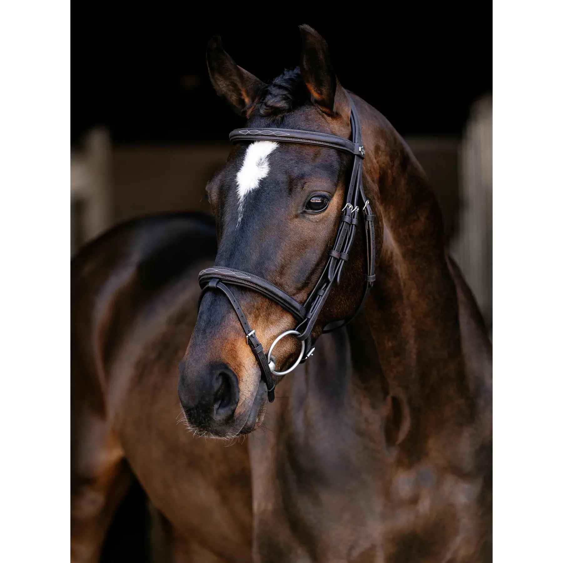 Bridons équitation pour cheval classique LeMieux