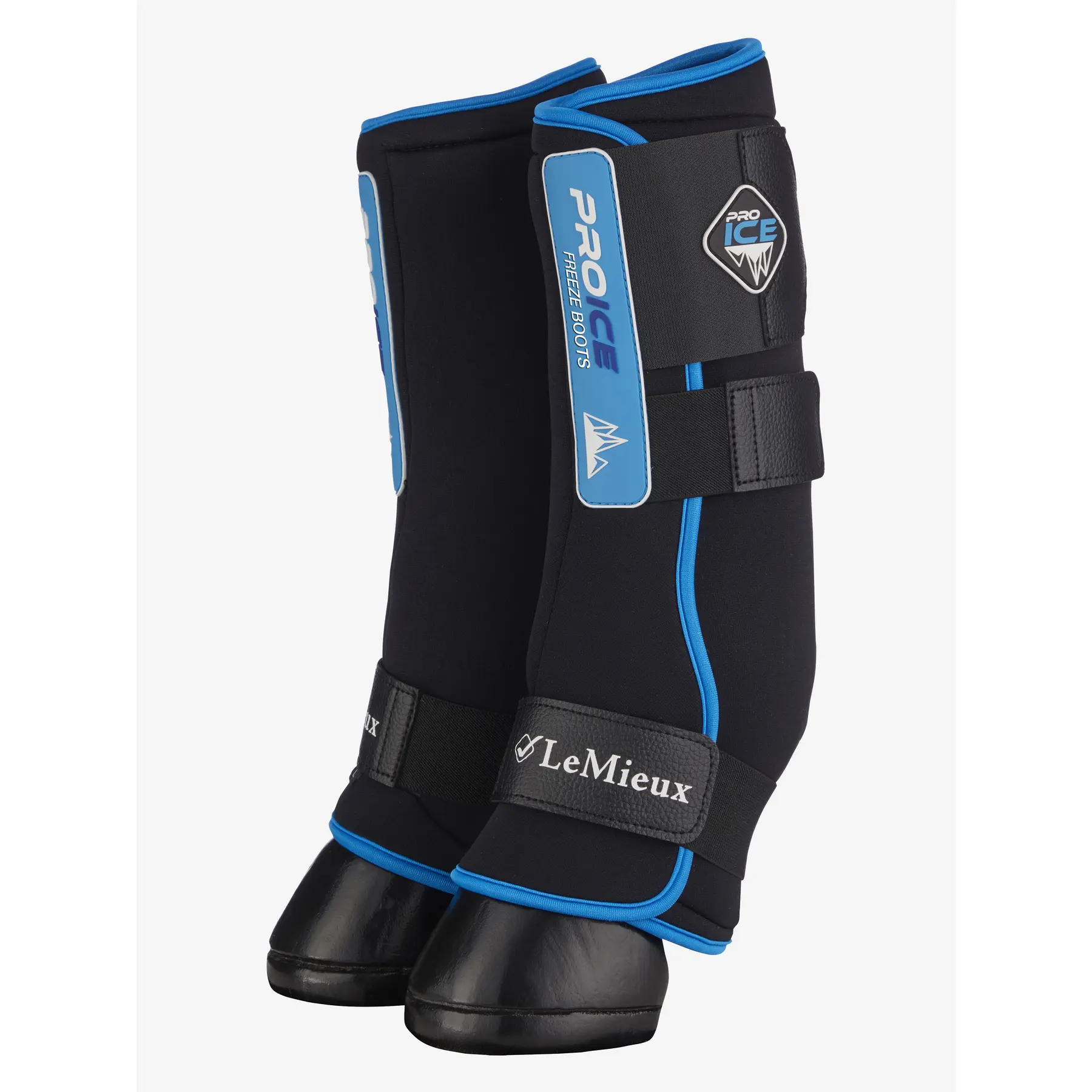 Lemieux Noir Freezing Horse Gaiters Proice